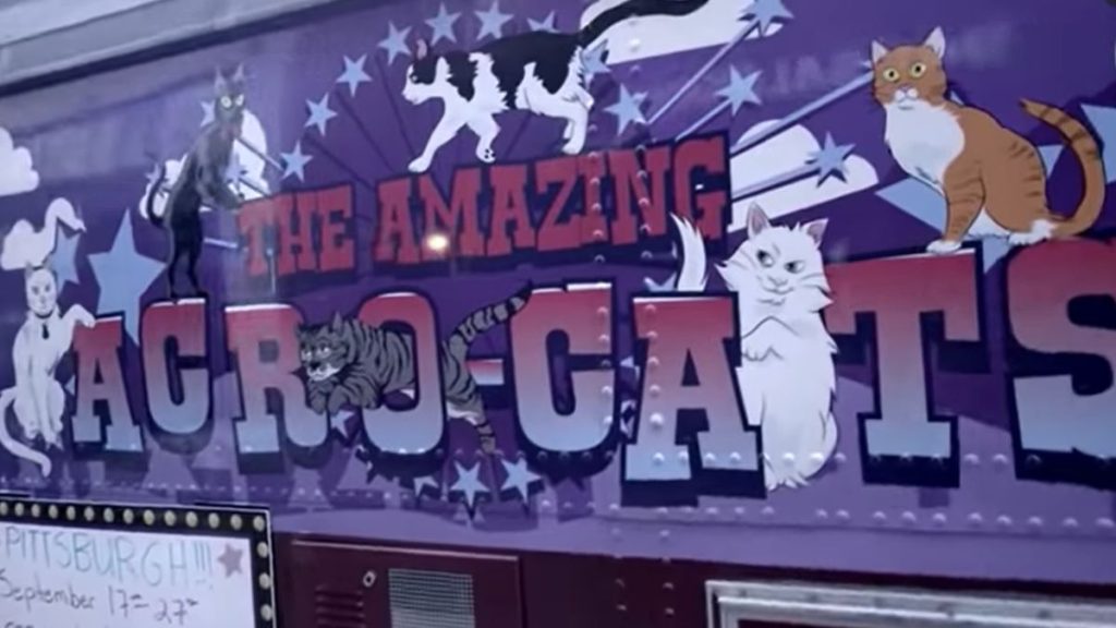 A close-up of the Acro-Cats tour bus, showing their logo.