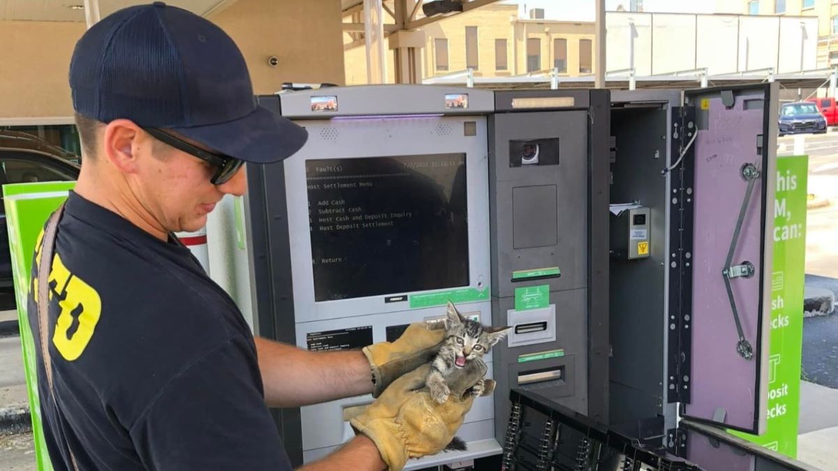 A firefigher wearing a cap holds a kitten in front of an open ATM machine.
