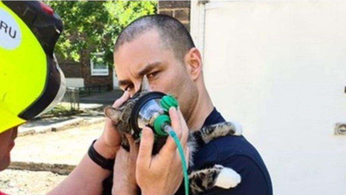 A firefighter holds an oxygen to a cat's face.