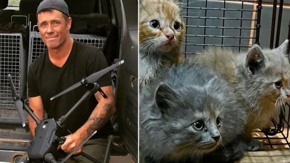 Two images: one of a man holding a drone, the other of three grubby kittens in a cage.