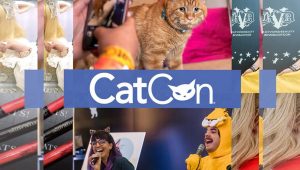 CatCon, the ‘Comic-Con for cat people’, returns this fall