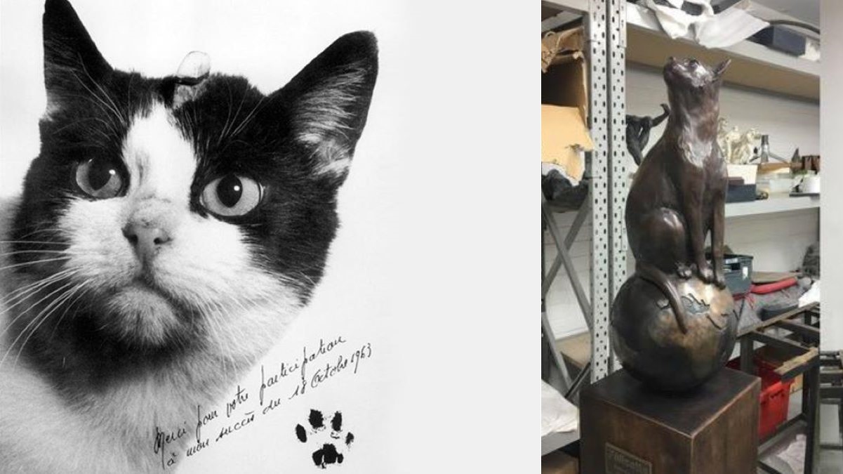 Two images: one of a black and white cat and one of the bronze statue of the cat.