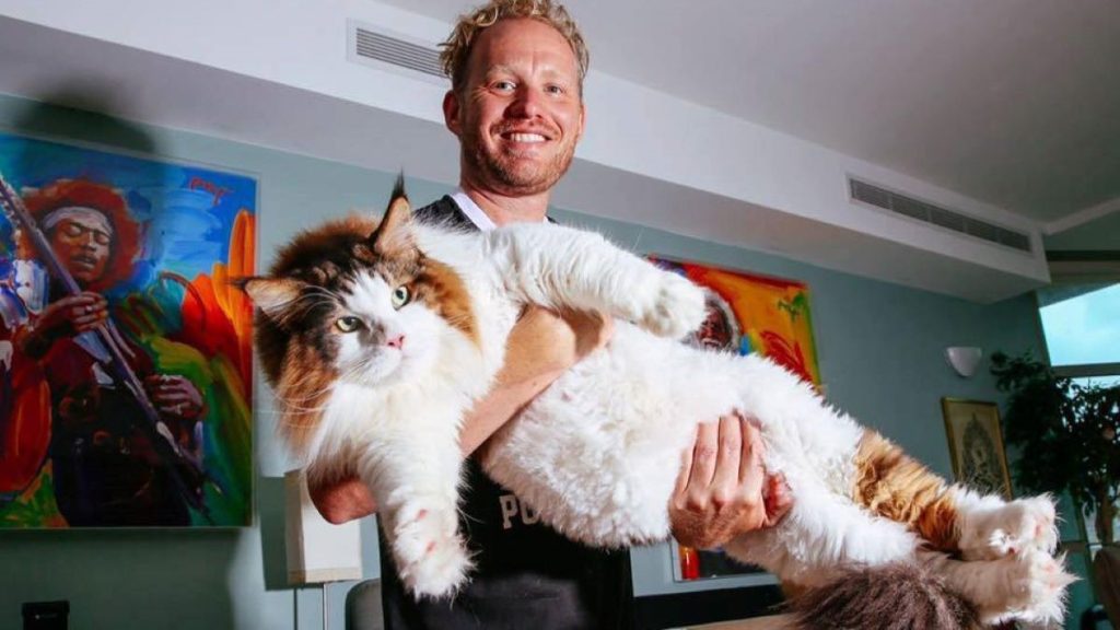 A man holds a huge calico cat in his arms.