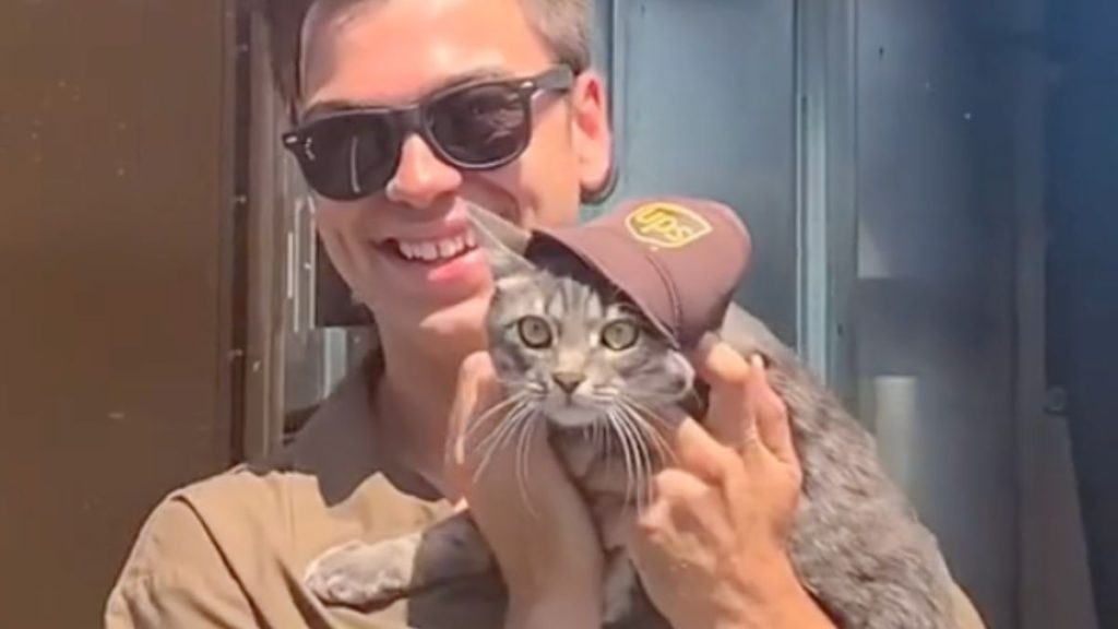 A man holds a tabby cat wearing a UPS cap.