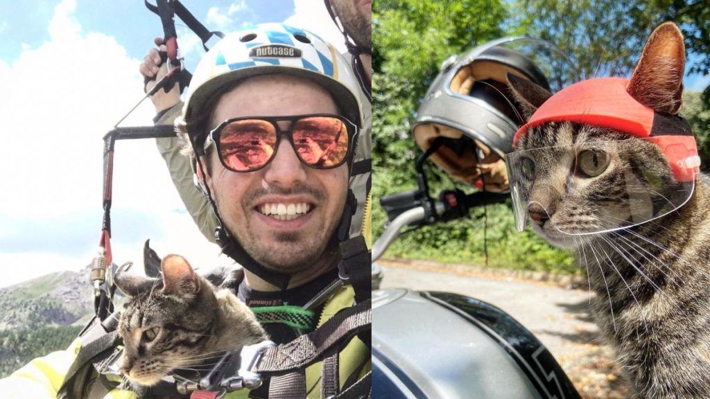 A man in a helmet holds a tabby cat also wearing a helmet.