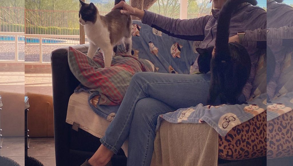 A woman sitting on a couch petting two cats.