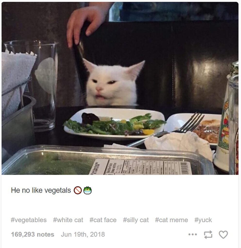 Tumblr post of cat making a disgusted face at a plate of vegetables, caption: "He no like vegetals."